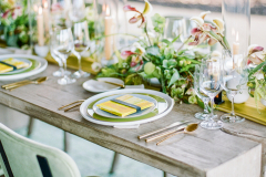 21-modern-farm-table-green-placetings