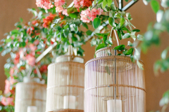 5-bougainvillea-canopy-rattan-lanterns