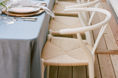 Alfresco Dinner Party