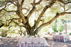 Kunde Wedding, Wine Country Wedding, Sonoma Wedding