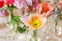 Junior League of San Francisco Event