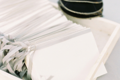 8-translucent-wedding-programs