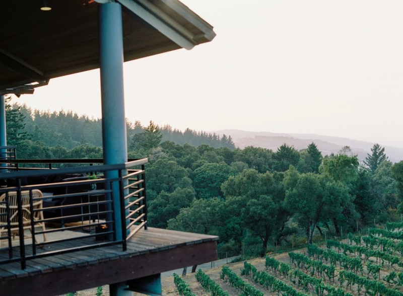 17-wedding-vineyard-views